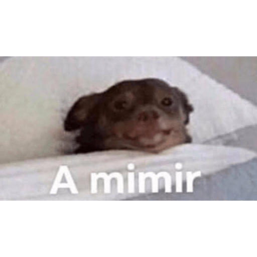 Chisme 8