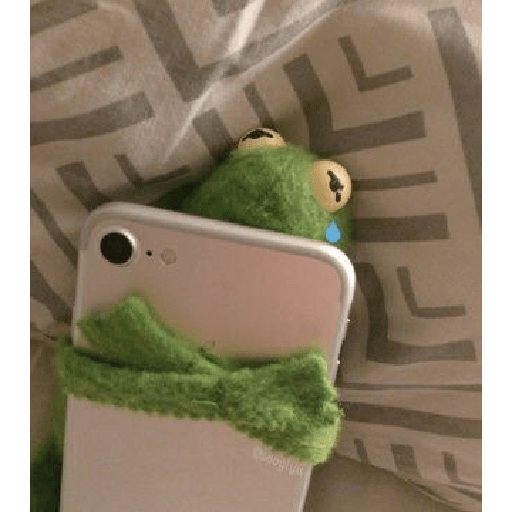 Kermit o Sapo 11