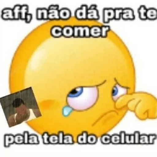 Bear que fez 5