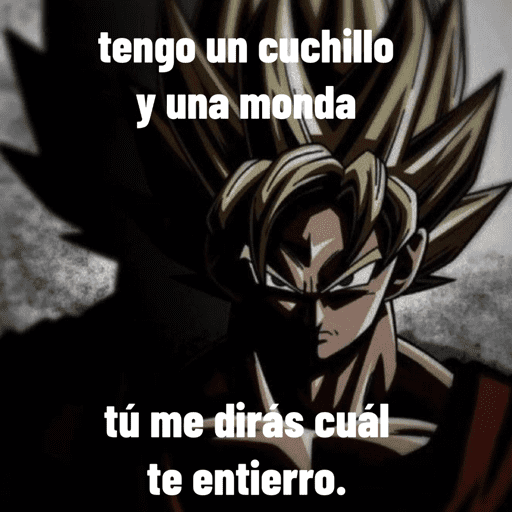 Goku 14