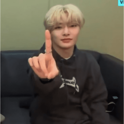 Stray kids 1 :3 13
