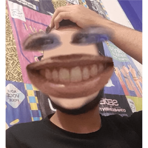 Criador de stickers  2