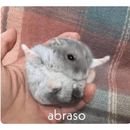 All 6