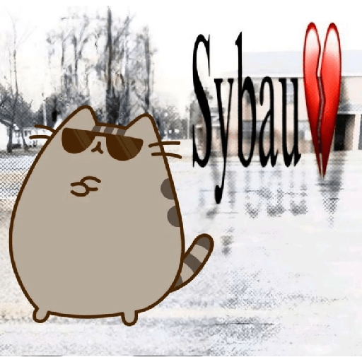 Pusheen  6