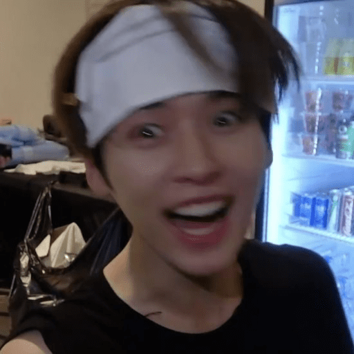 Stray kids 1 :3 20