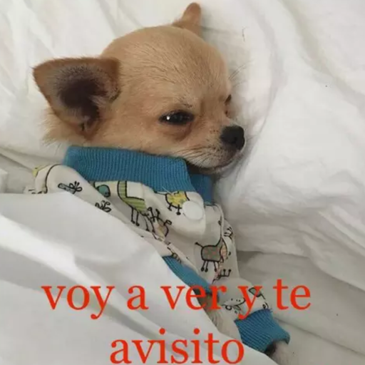 ANIMAIS 24