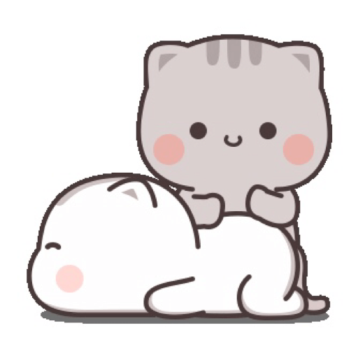Cutie cat chan 24