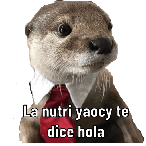 Chisme 11