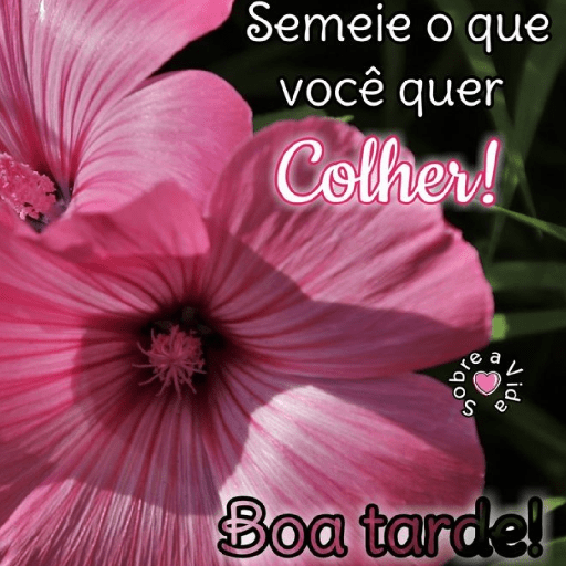 Olá 30