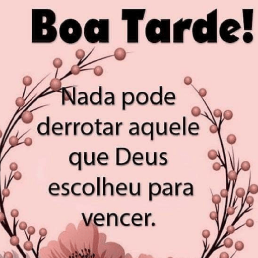 Olá 24