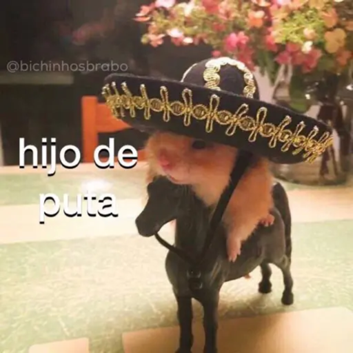 ANIMAIS 18