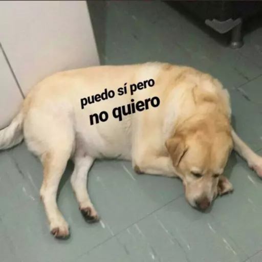 ANIMAIS 20