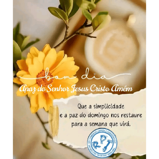 BOM DIA  17