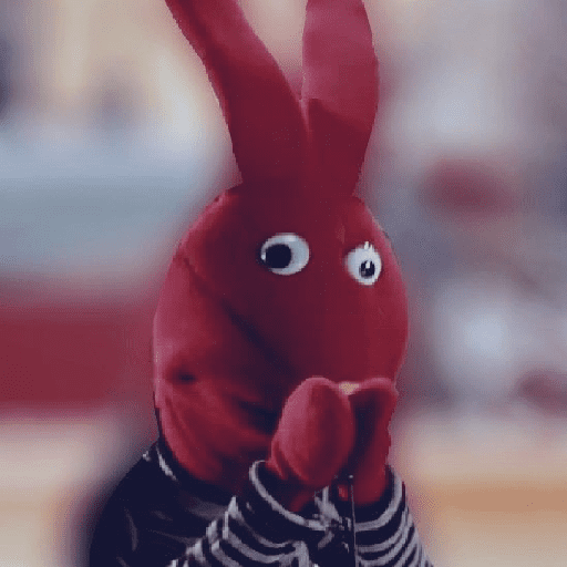 🐇/juan carlos 23