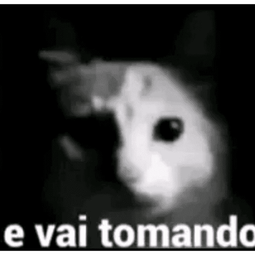 É o carlin não tem jeito 8