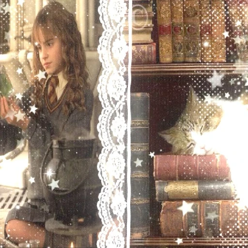 Harry Potter  2