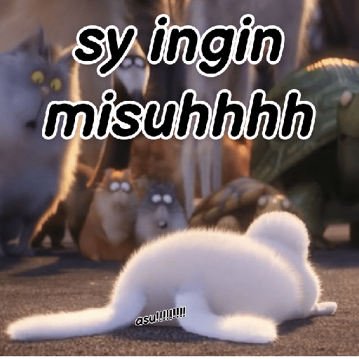 Kelinci lucu 28