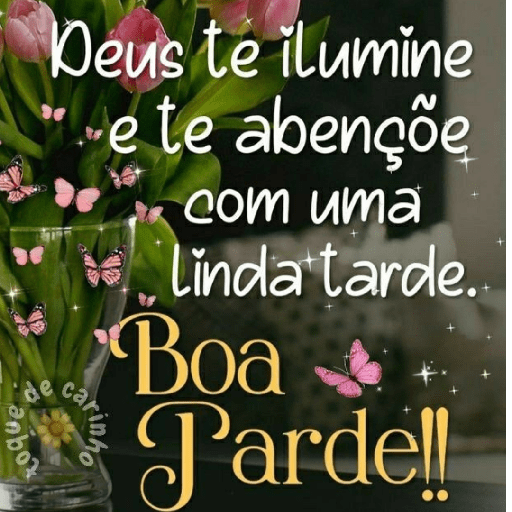 Olá 22