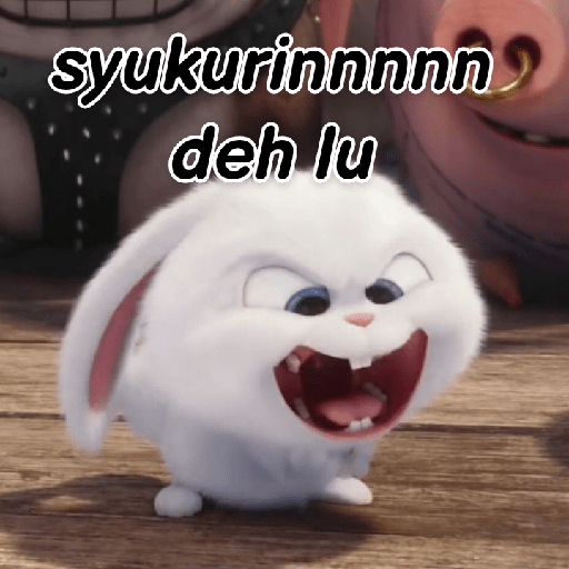 Kelinci lucu 29