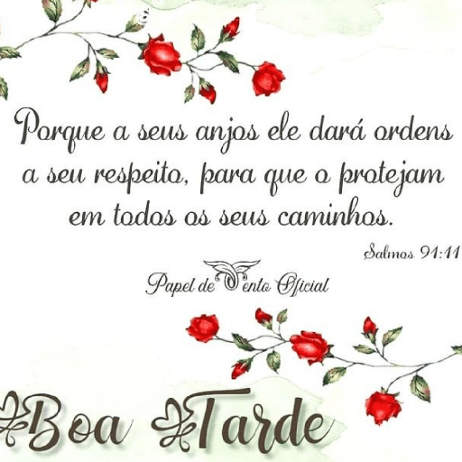Olá 15