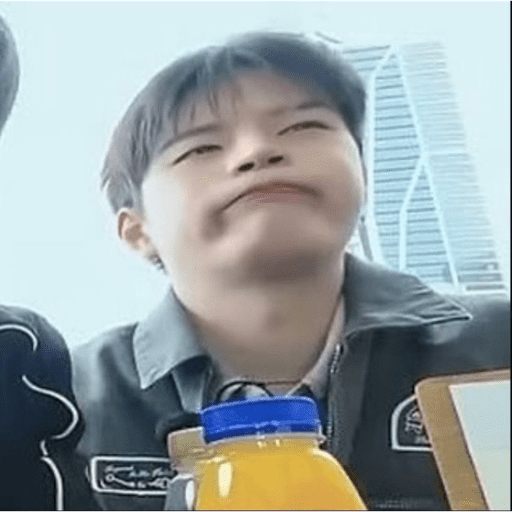 Stray kids 1 :3 28