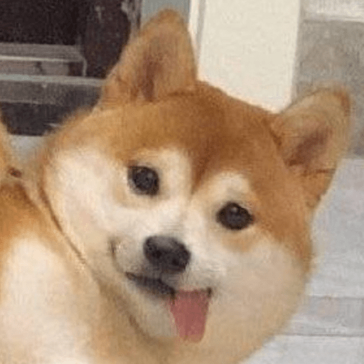 ANIMAIS 30