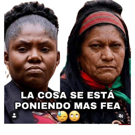 Enérgicos  15