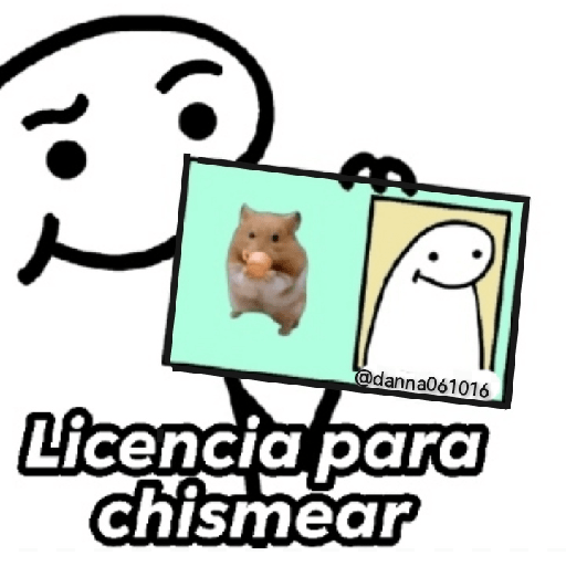 LICENCIAS DE FLORK 😎✅ 6