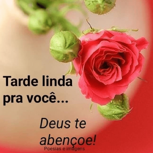 Olá 27