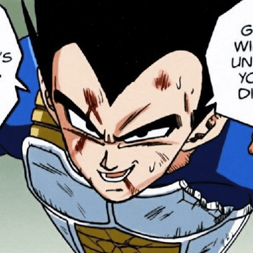 Vegeta  29