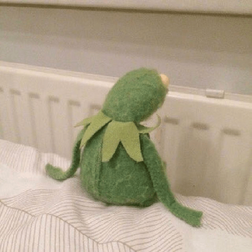 Kermit o Sapo 10