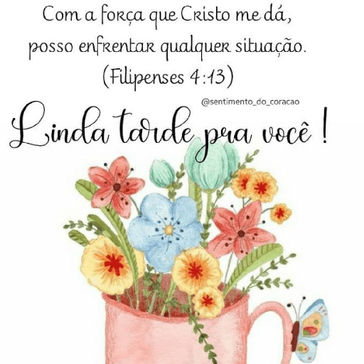 Olá 16