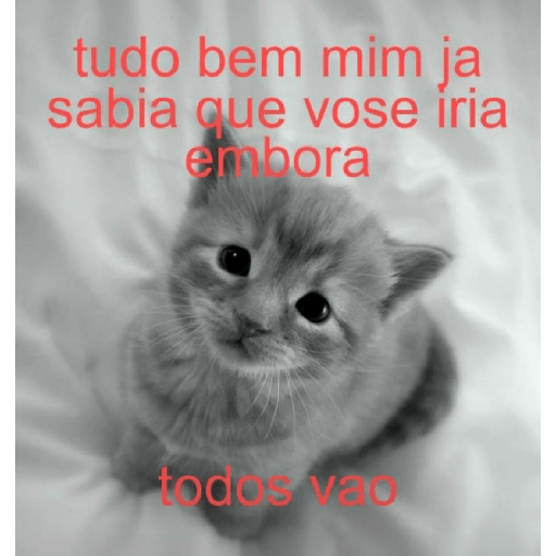 Sou petista 18