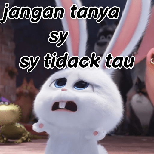 Kelinci lucu 19
