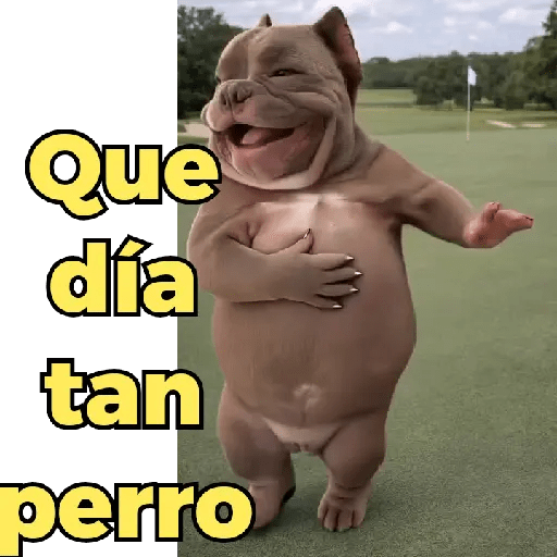 Enérgicos  8