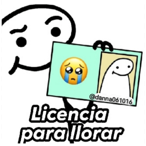 LICENCIAS DE FLORK 😎✅ 19