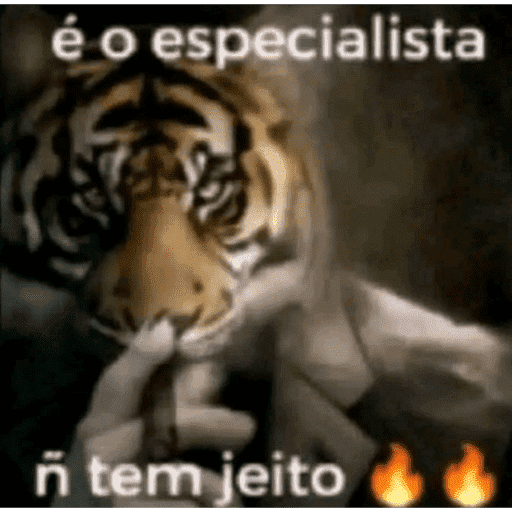 É o carlin não tem jeito 6