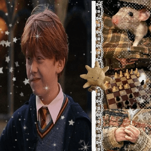 Harry Potter  6