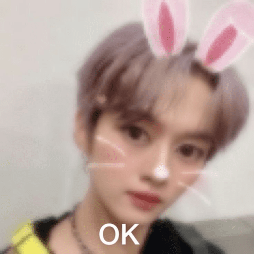 Stray kids 1 :3 27