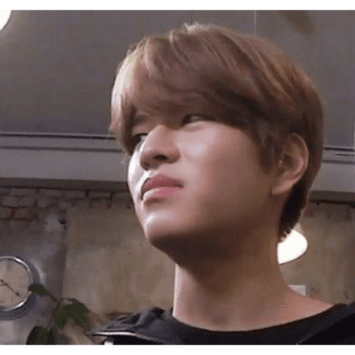 Stray kids 1 :3 16