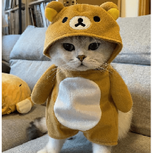 Shy bear cub
