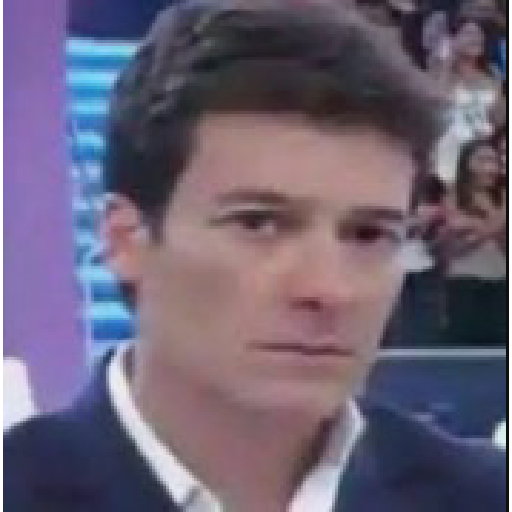 Sou petista 10