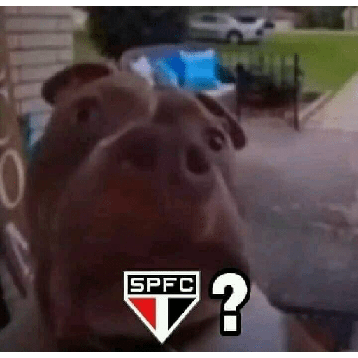 Sou petista 7