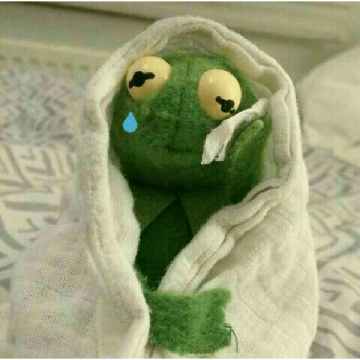 Kermit o Sapo 9