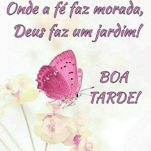Olá 28