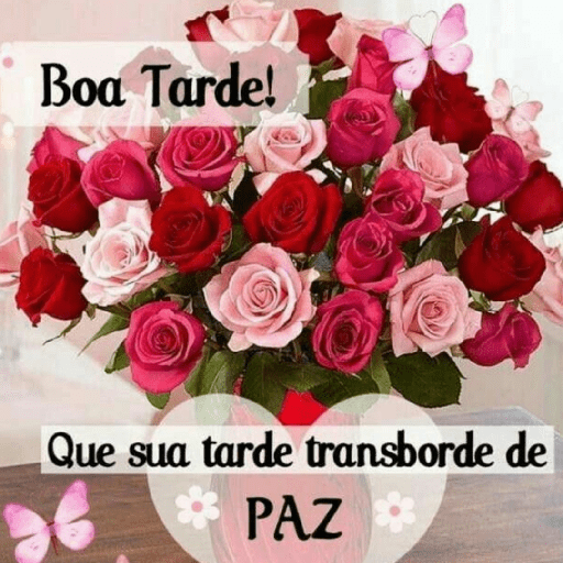Olá 20