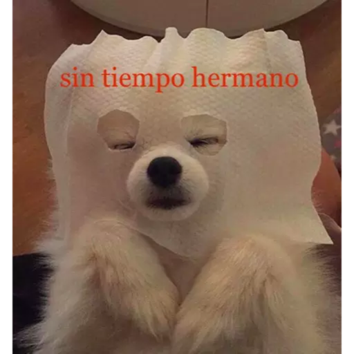 ANIMAIS 26