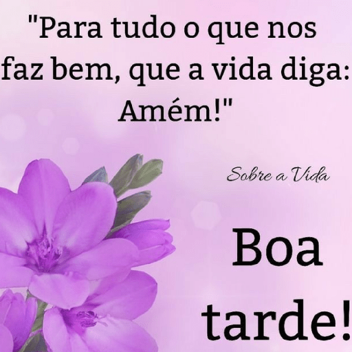 Olá 29