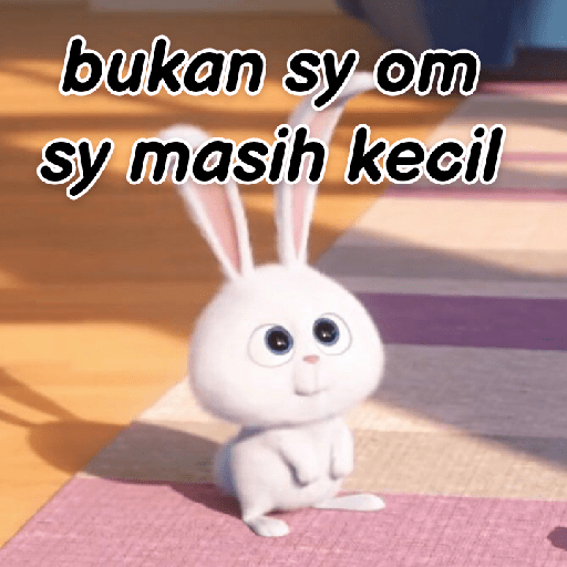 Kelinci lucu 24