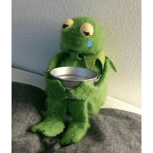 Kermit o Sapo 13